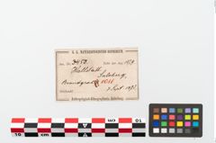 Etikett zu Perlenkette (NHMW-PRAE-003450)